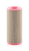 Mann Filter C 13 154